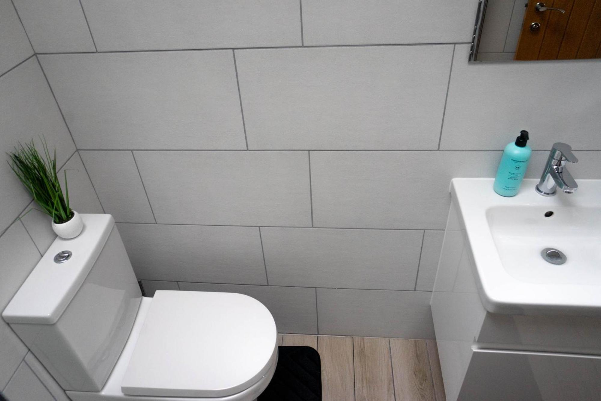 1 Bed House , Free Wifi,Free Parking,Leasure,Business Lejlighed Swansea Eksteriør billede